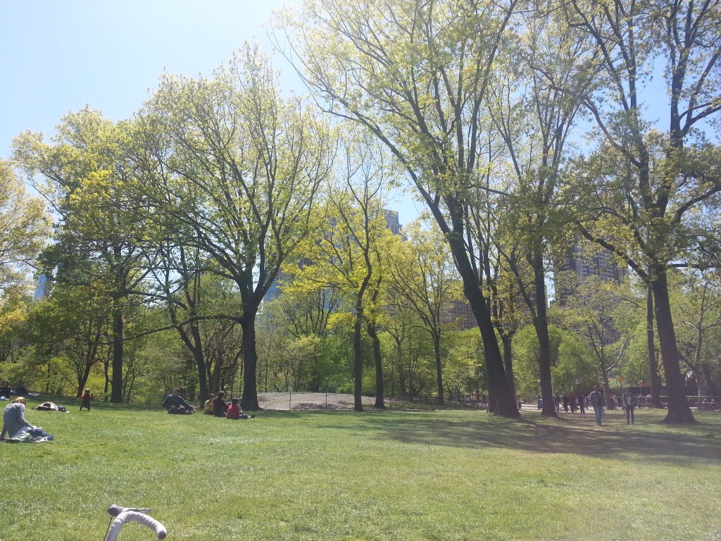 Tag 3 - Central Park 1